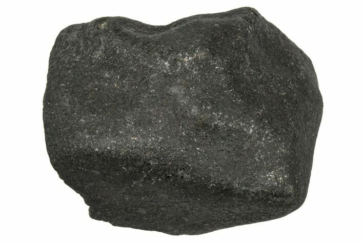 Bassikounou Chondrite Meteorite ( g) - Witnessed Fall! #333019